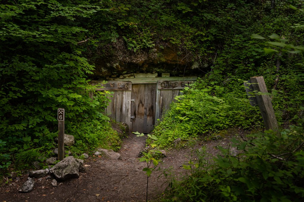gallery-photo